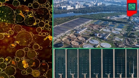 Introduction to Wastewater Management & Treatment